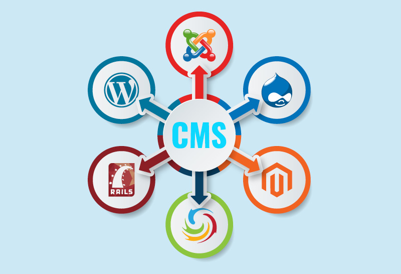 best CMS development